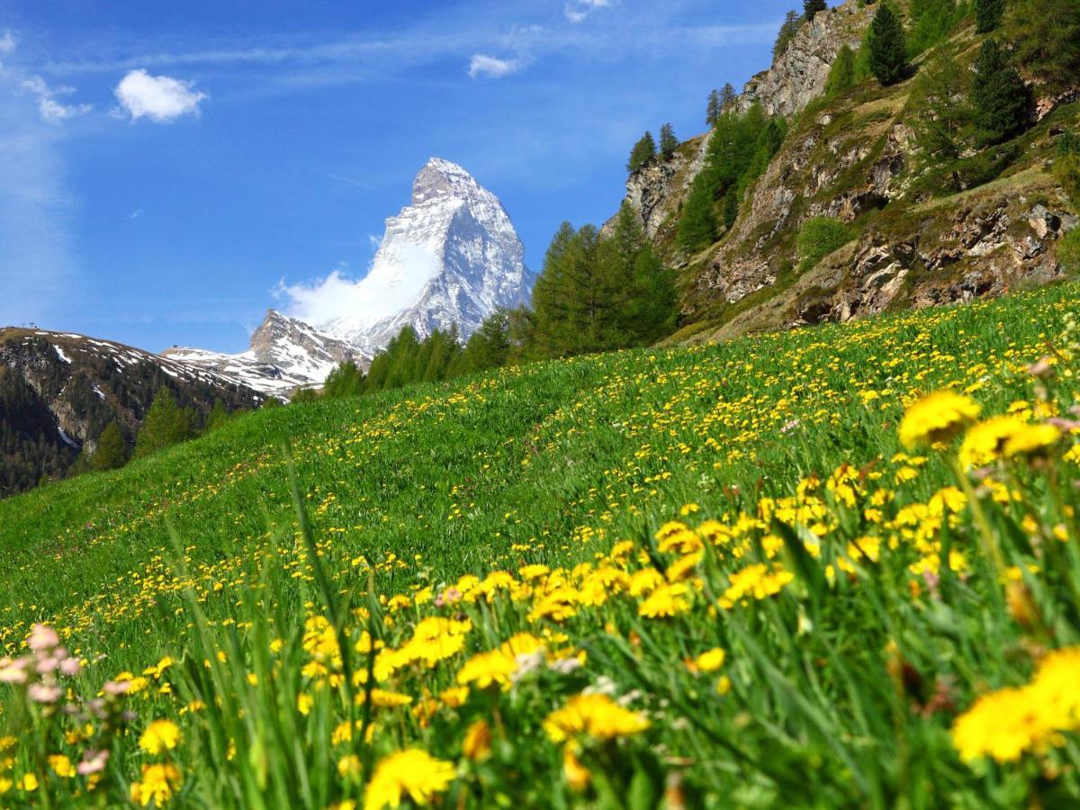 Apartment Aquila By Interhome Zermatt Dış mekan fotoğraf