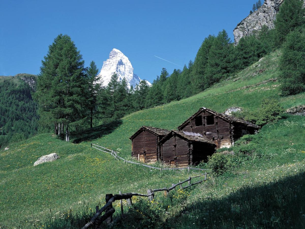 Apartment Aquila By Interhome Zermatt Dış mekan fotoğraf